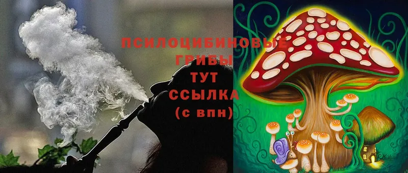 как найти закладки  Улан-Удэ  Галлюциногенные грибы Magic Shrooms 